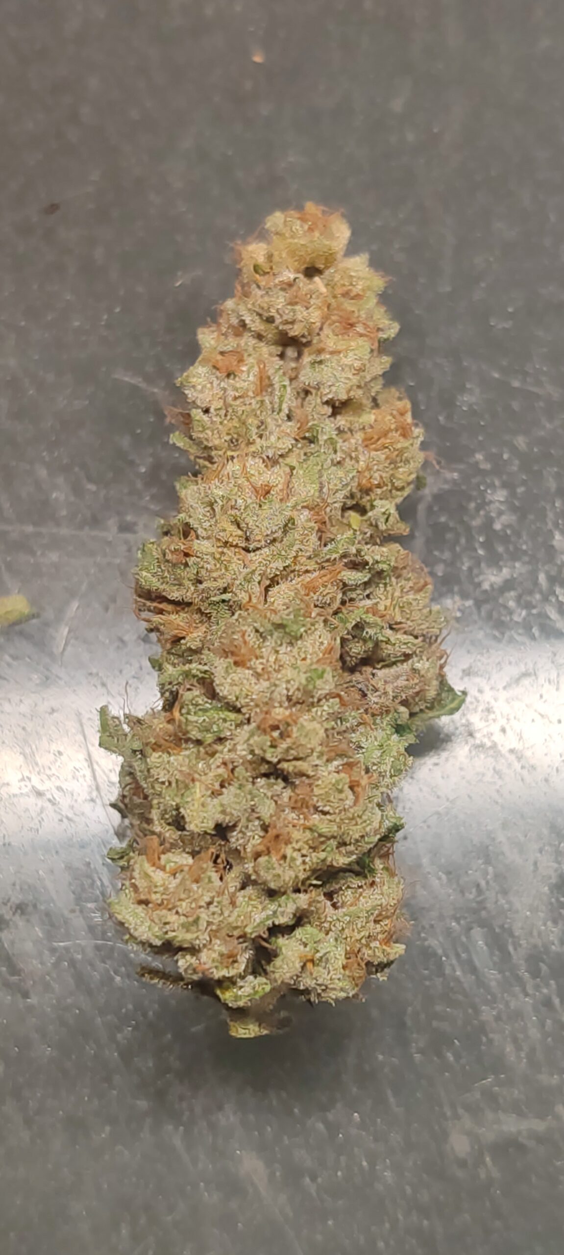 Flow_IMG_20250919_141356_01_240(1)